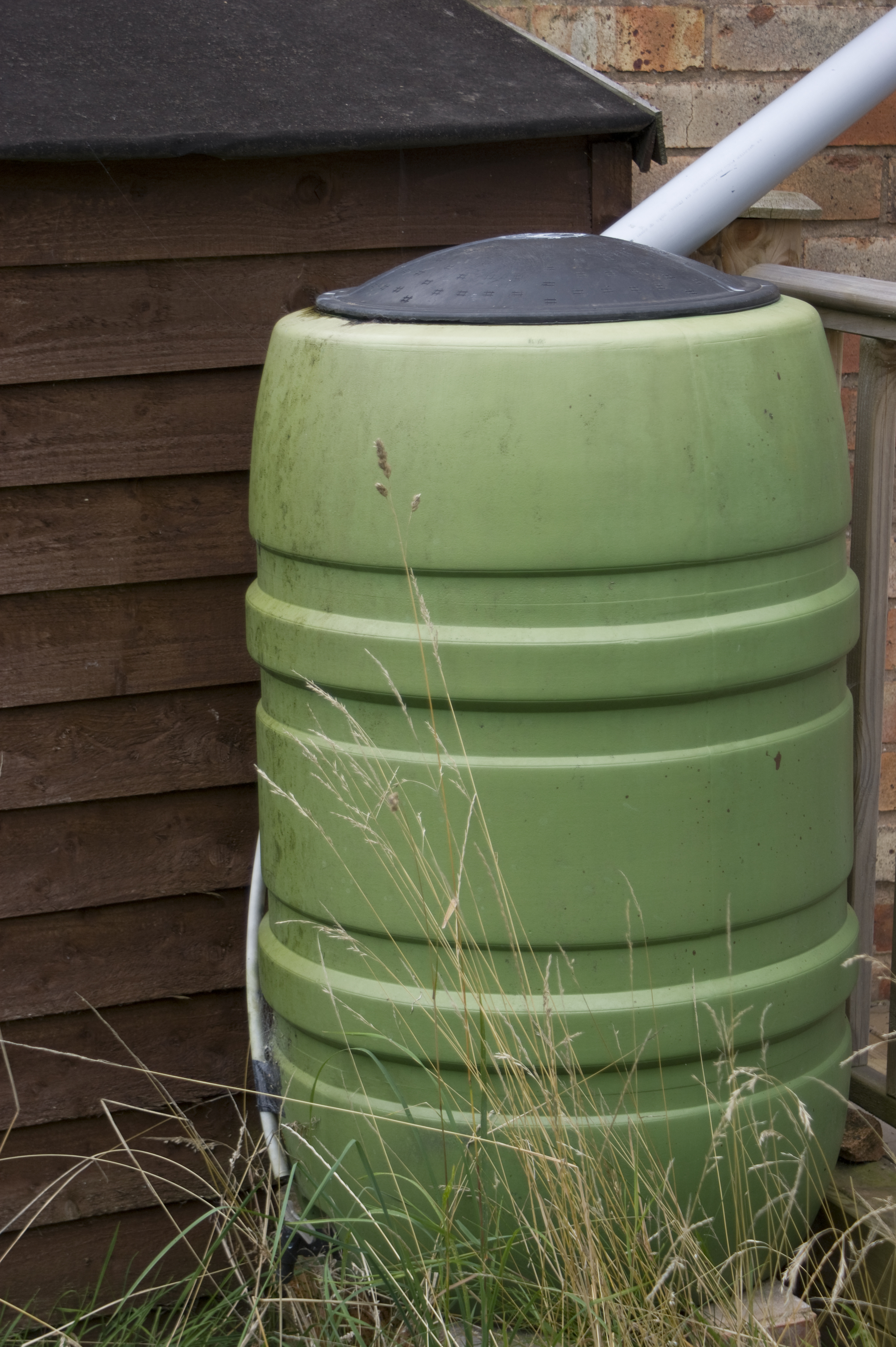 AlexRenew - Rain Barrel