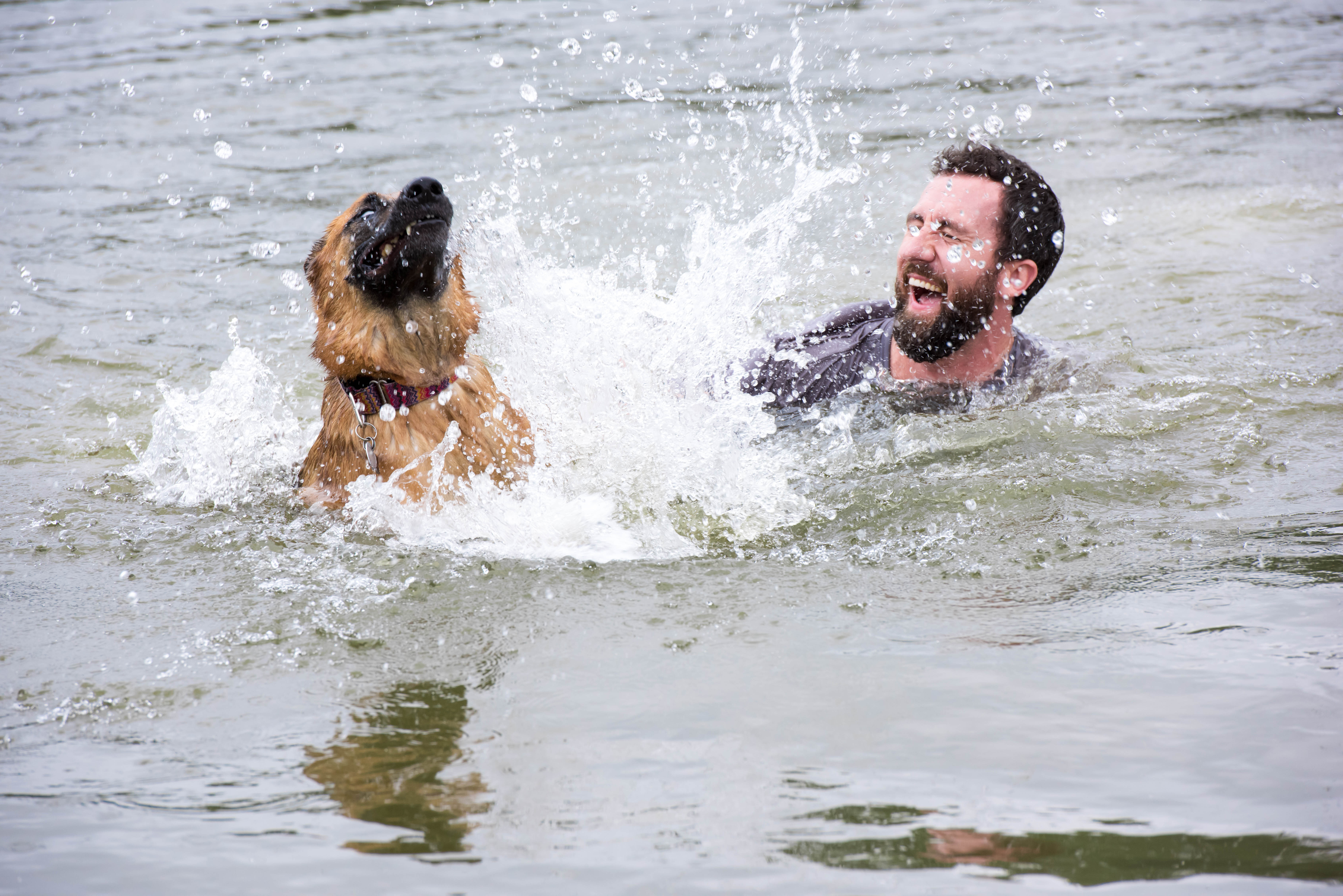 Man and Dog in Potomac Enjoying Water