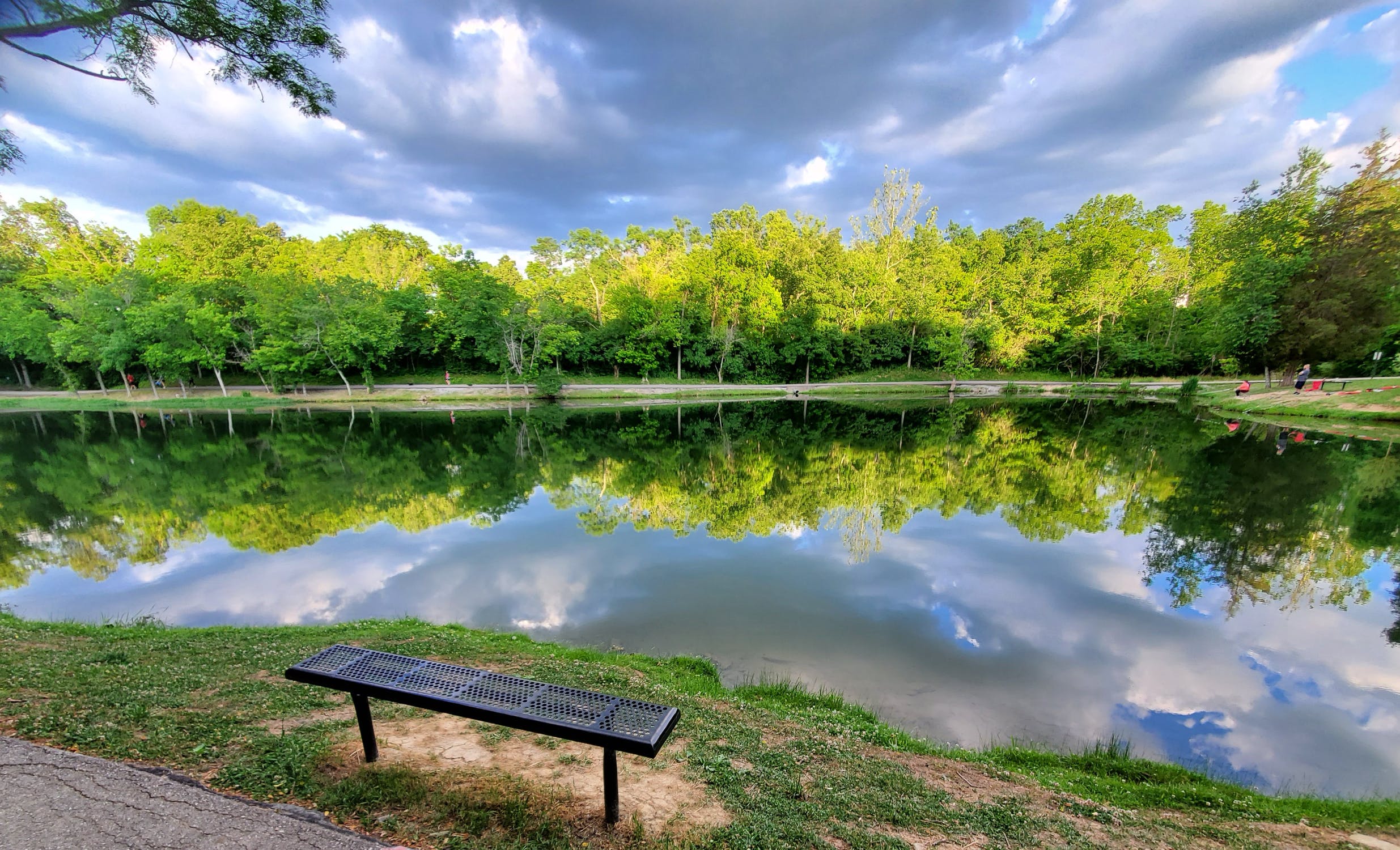 Plant a tree to help preserve our waterways.