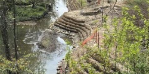 HooffsRunRiparianBuffer