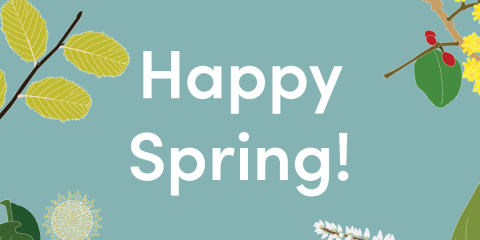 Happy Spring! written in white on a green background, with illustrations of native plants bordering the words and the AlexRenew logo in white at the top.