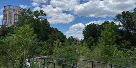 A path winds through green trees with a blue sky in the background.