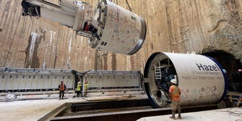 lowering hazel the TBM